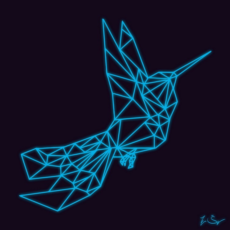 Hummingbird Polygon by il@n