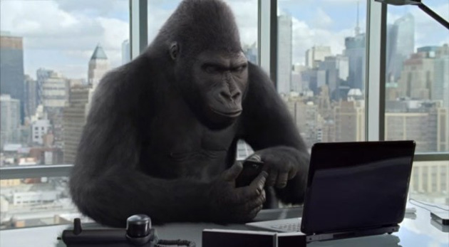 Nije važno što telefoniramo jedni drugima, važno je da slušalicu drži gorila.