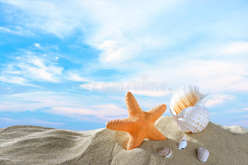 starfish-seashells-beach-sandy-summer-blue-sea-sky-travel-icon-58409328